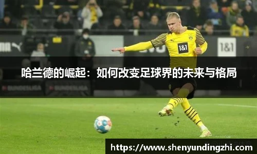 博鱼.体育官网