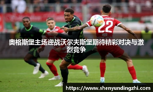 678体育官网入口